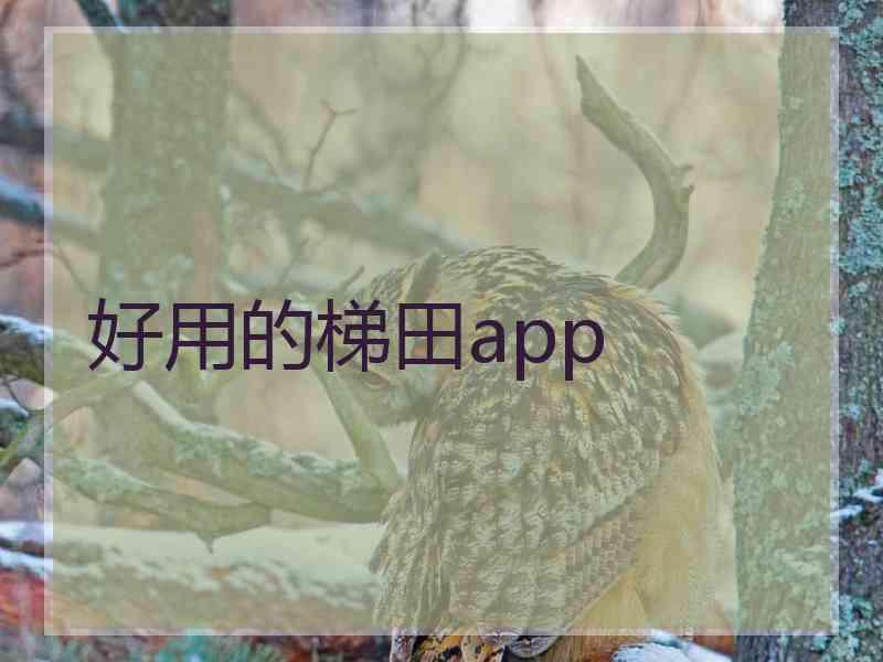 好用的梯田app