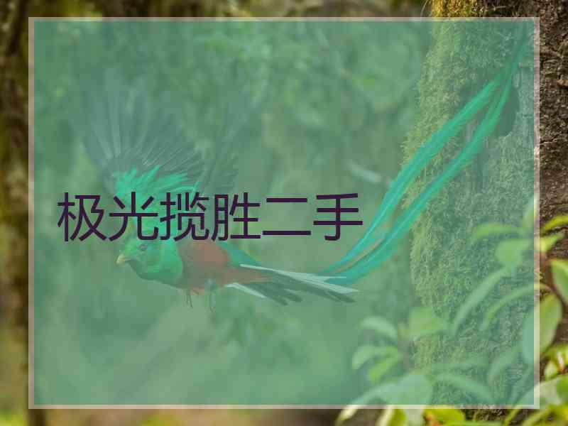 极光揽胜二手