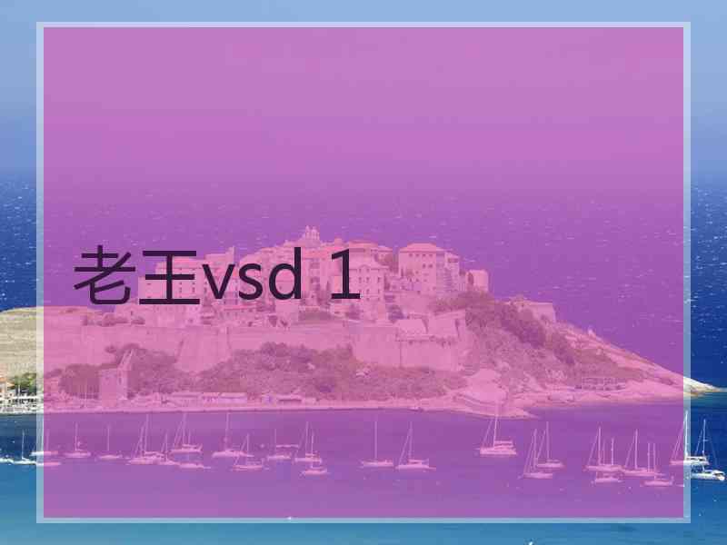 老王vsd 1