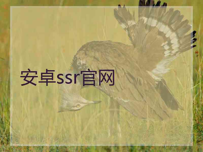 安卓ssr官网