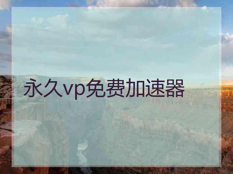 永久vp免费加速器