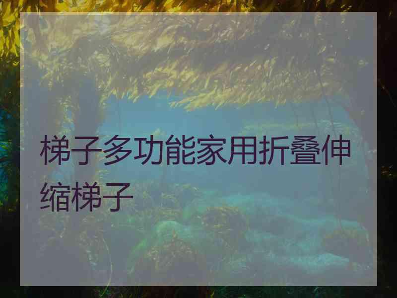 梯子多功能家用折叠伸缩梯子