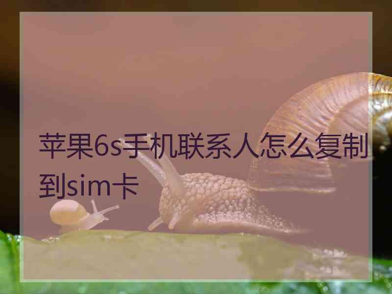 苹果6s手机联系人怎么复制到sim卡