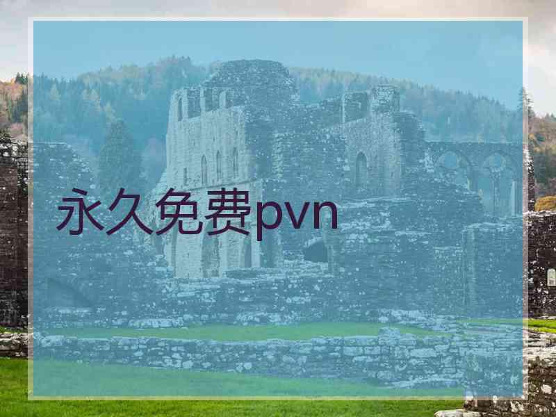 永久免费pvn