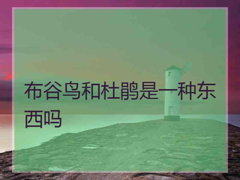 布谷鸟和杜鹃是一种东西吗