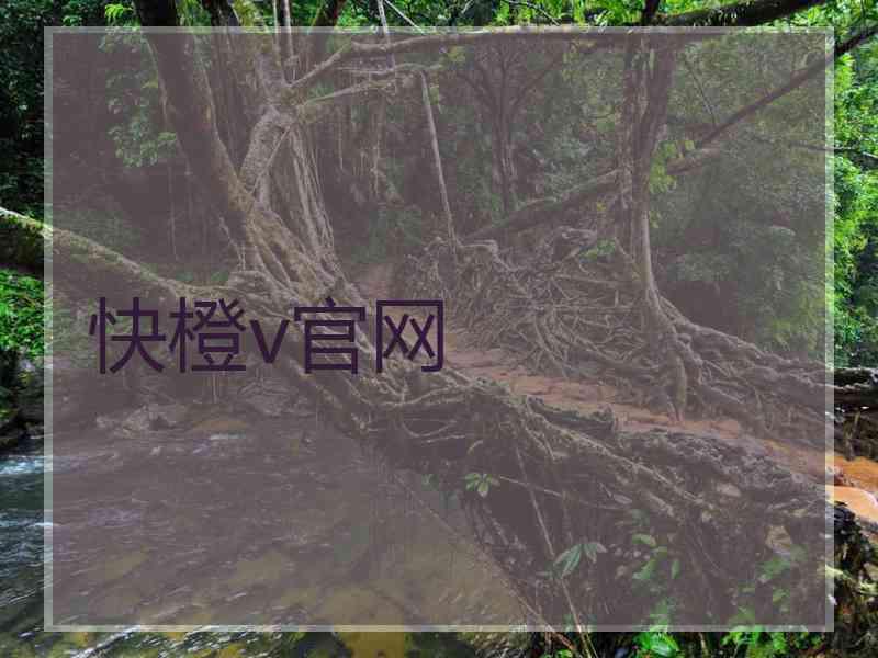 快橙v官网