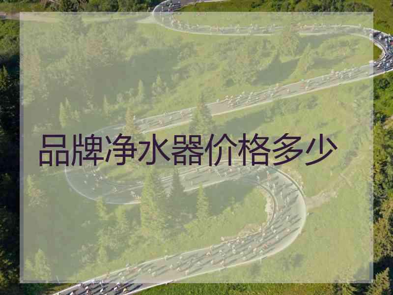 品牌净水器价格多少