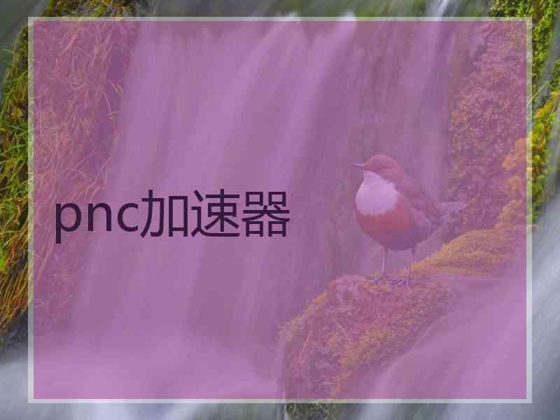 pnc加速器