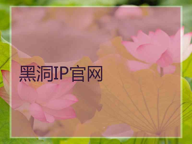 黑洞IP官网