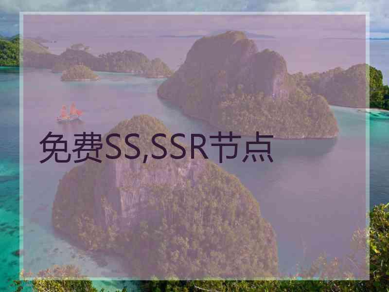 免费SS,SSR节点