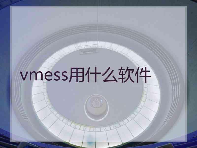 vmess用什么软件