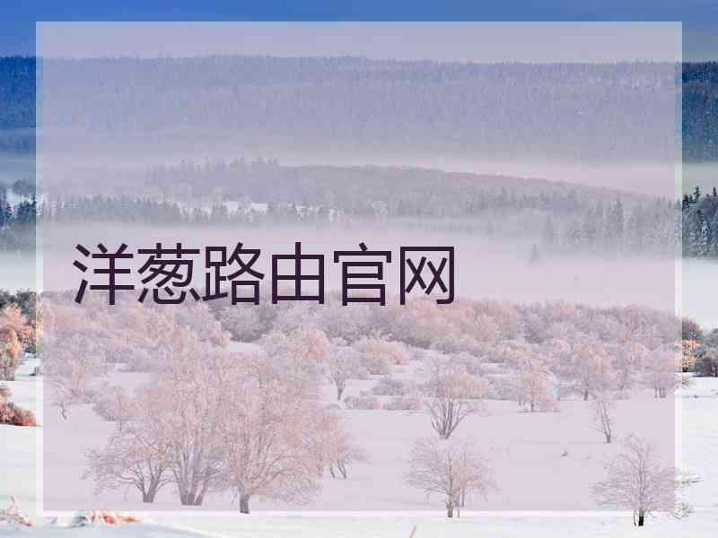 洋葱路由官网