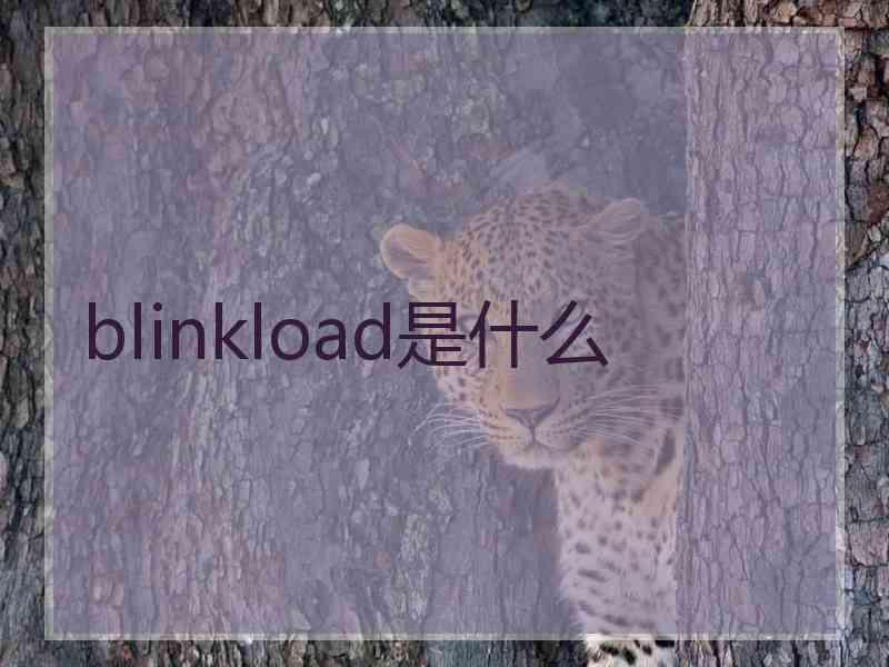 blinkload是什么