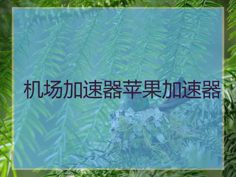 机场加速器苹果加速器