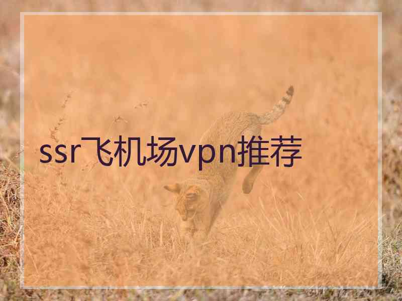 ssr飞机场vpn推荐
