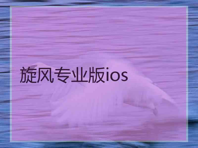 旋风专业版ios