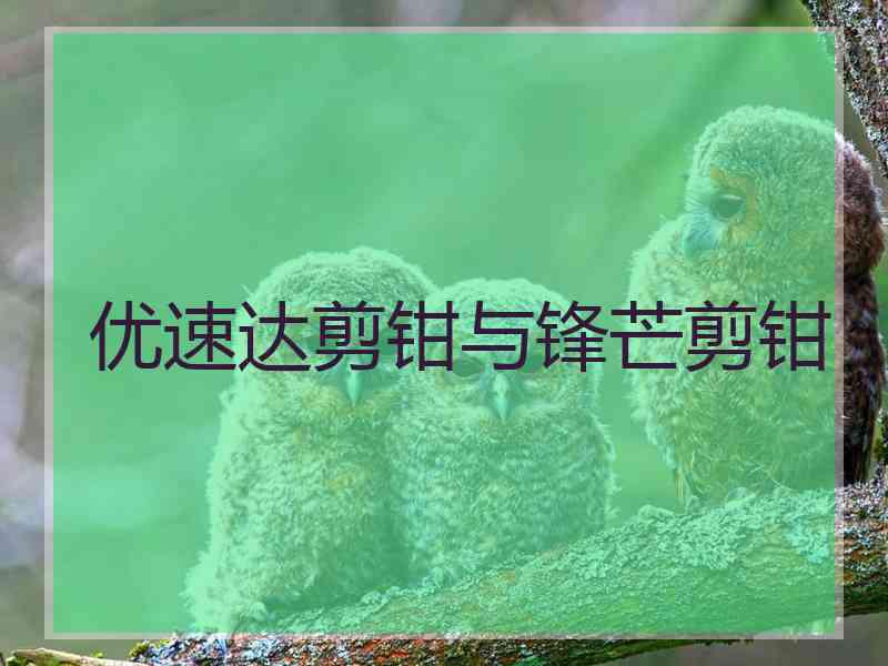优速达剪钳与锋芒剪钳