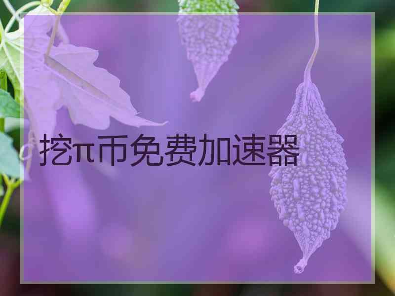挖π币免费加速器