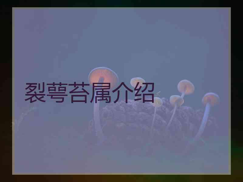 裂萼苔属介绍
