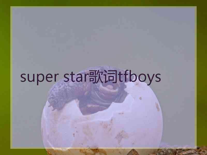 super star歌词tfboys