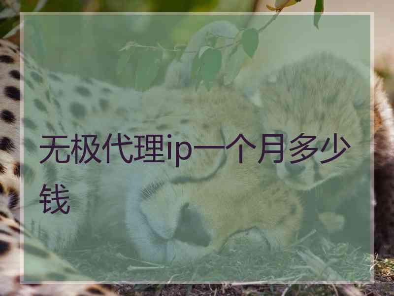 无极代理ip一个月多少钱