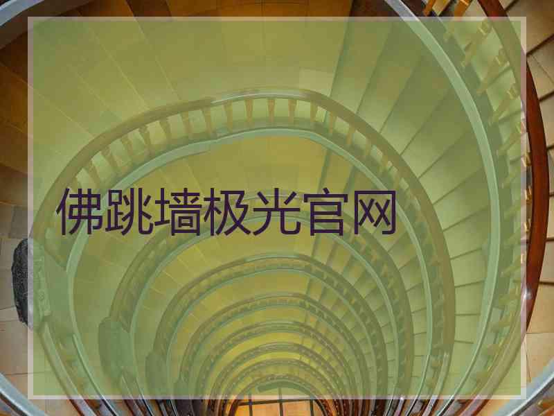 佛跳墙极光官网
