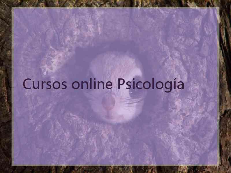 Cursos online Psicología