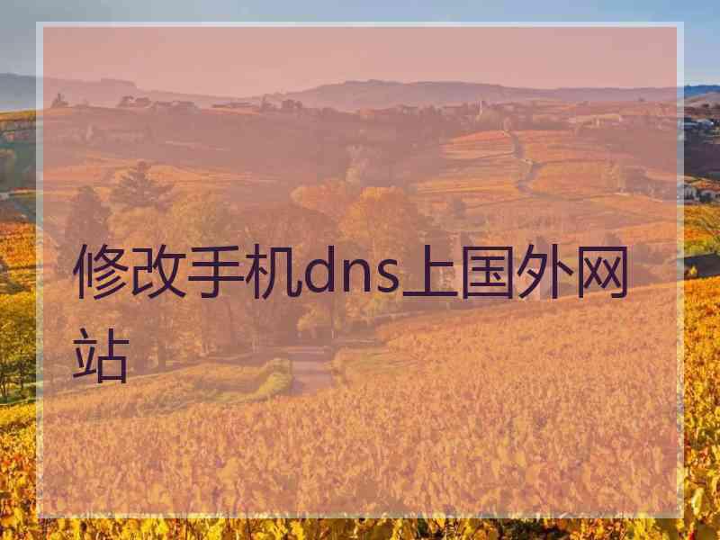 修改手机dns上国外网站