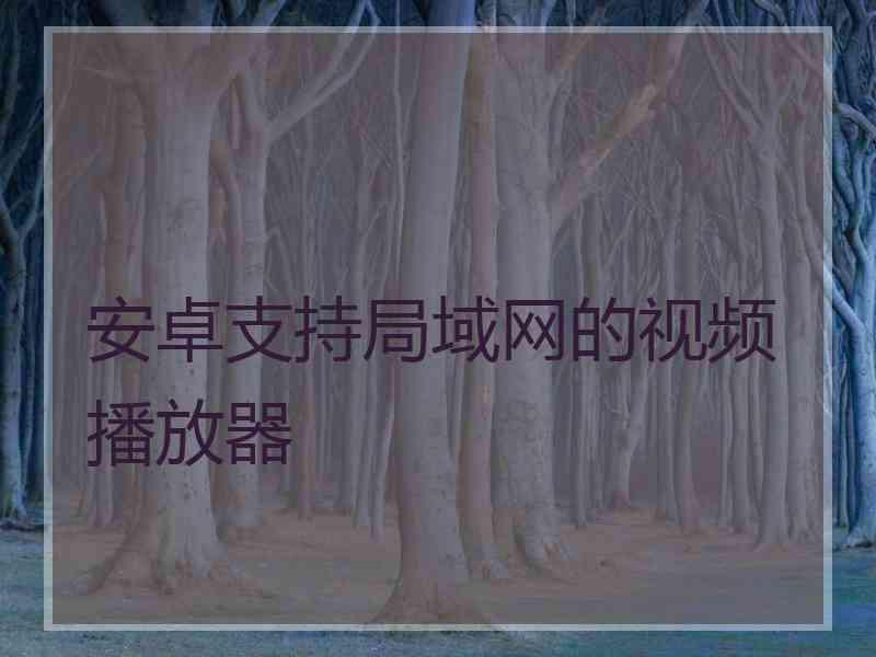 安卓支持局域网的视频播放器