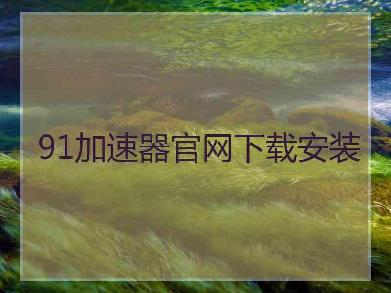 91加速器官网下载安装