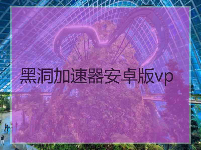 黑洞加速器安卓版vp