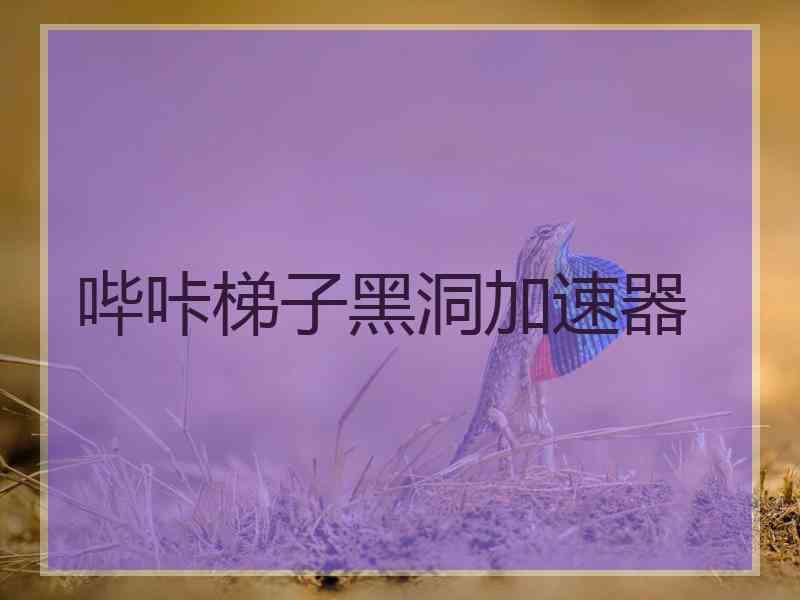 哔咔梯子黑洞加速器