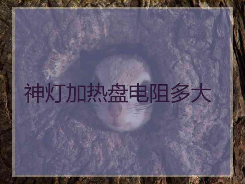 神灯加热盘电阻多大