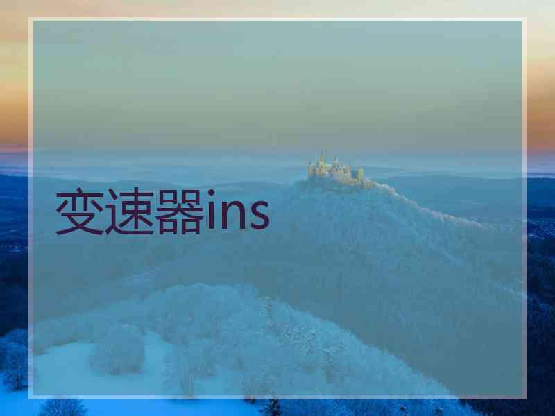 变速器ins