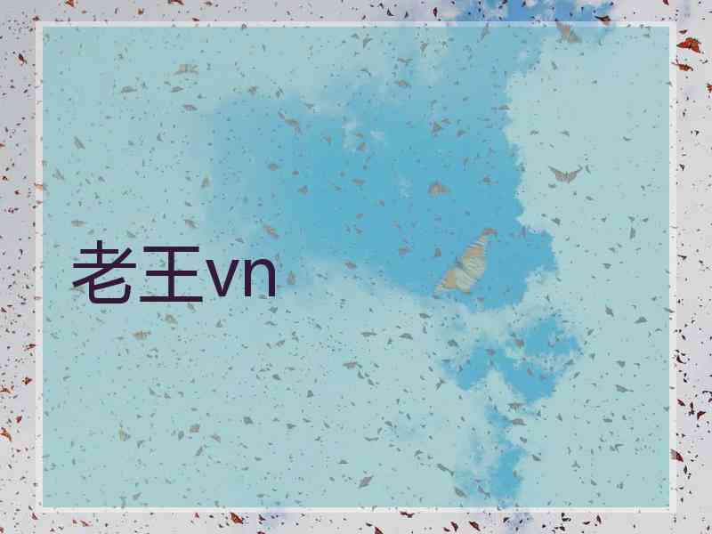 老王vn