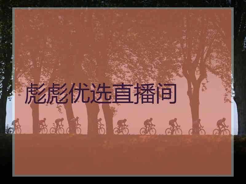彪彪优选直播间