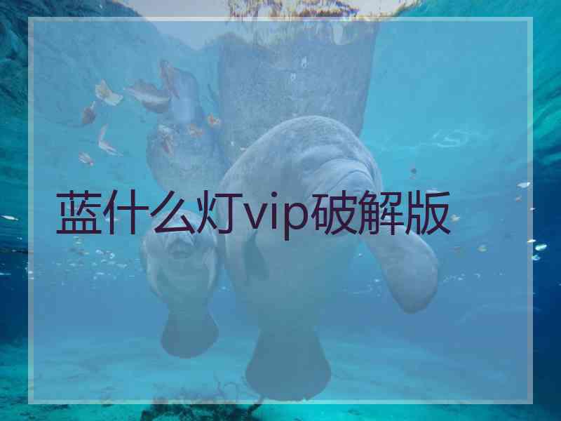 蓝什么灯vip破解版