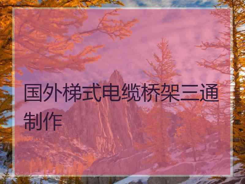 国外梯式电缆桥架三通制作