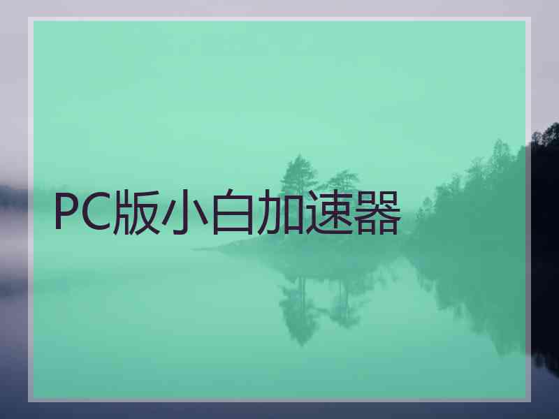 PC版小白加速器