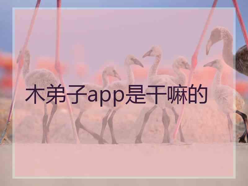 木弟子app是干嘛的