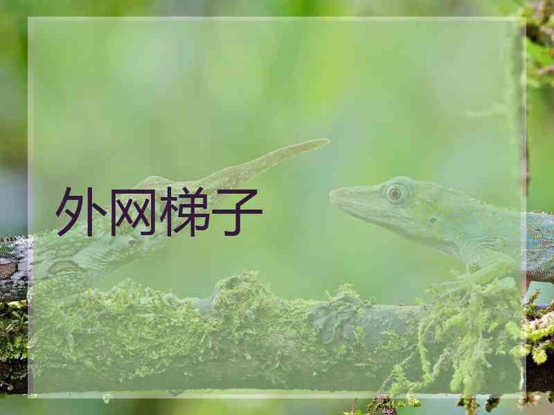 外网梯子
