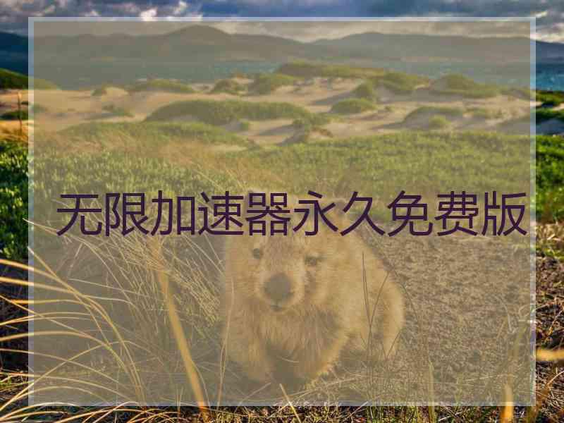 无限加速器永久免费版