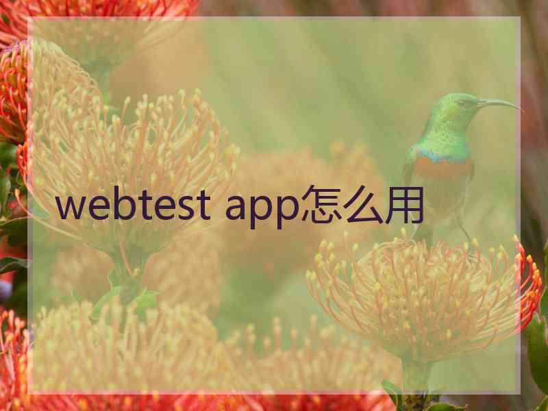 webtest app怎么用