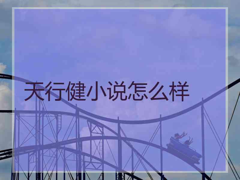 天行健小说怎么样