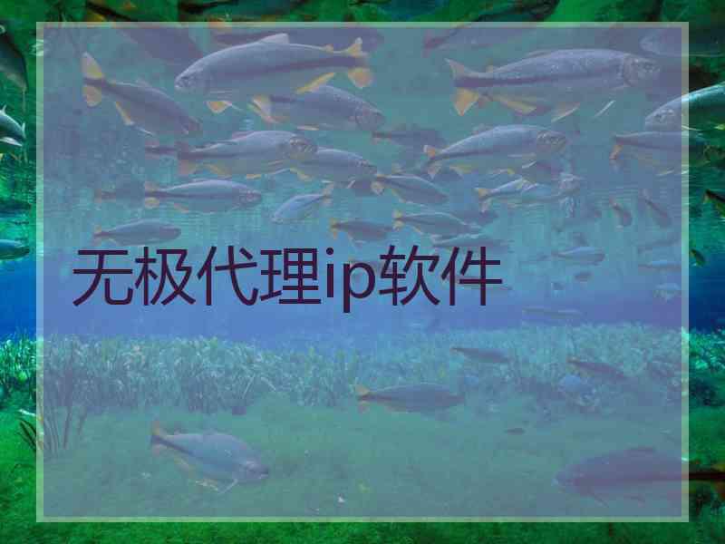 无极代理ip软件
