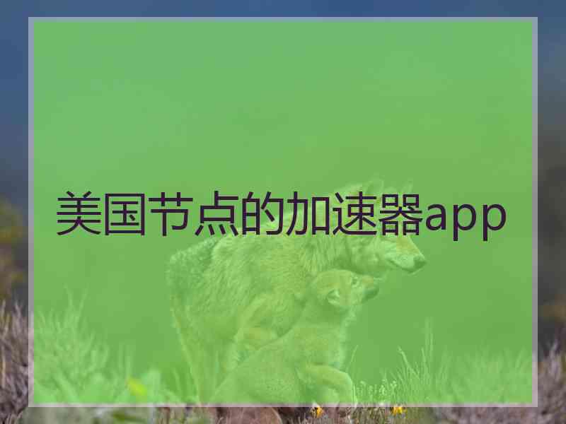 美国节点的加速器app