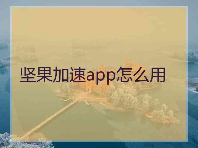 坚果加速app怎么用