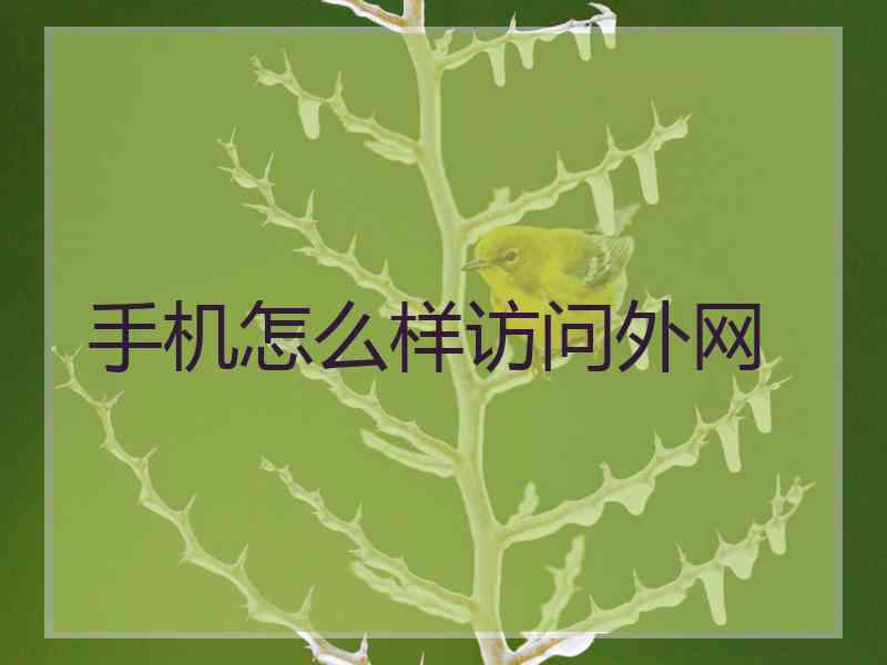 手机怎么样访问外网
