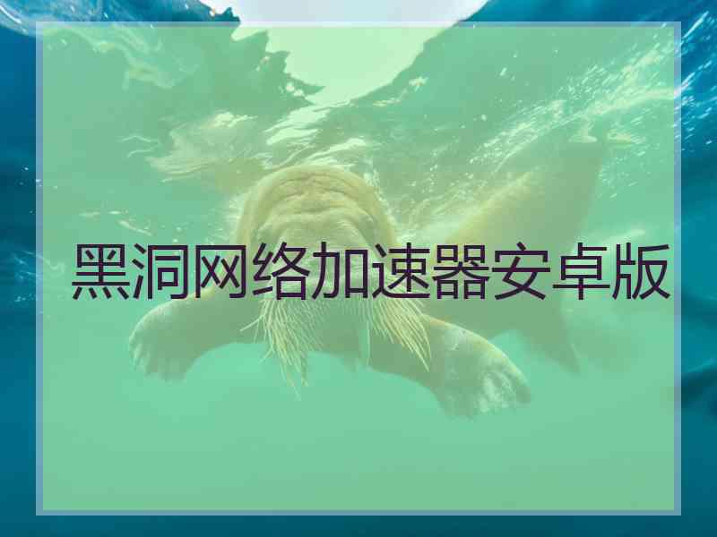 黑洞网络加速器安卓版