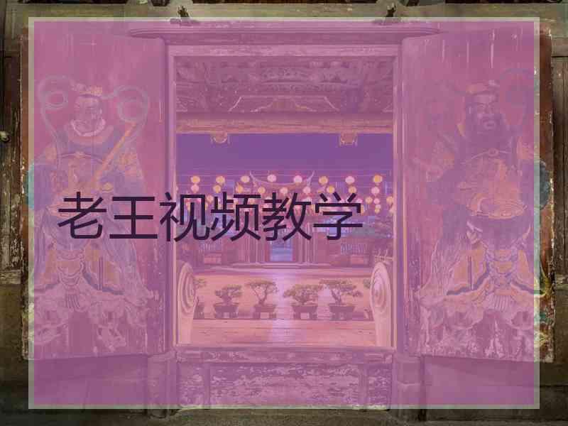 老王视频教学